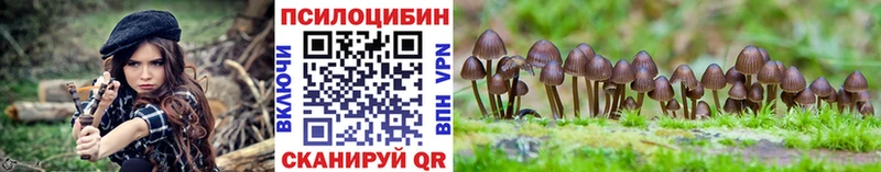 Галлюциногенные грибы Psilocybe  сколько стоит  Кстово 